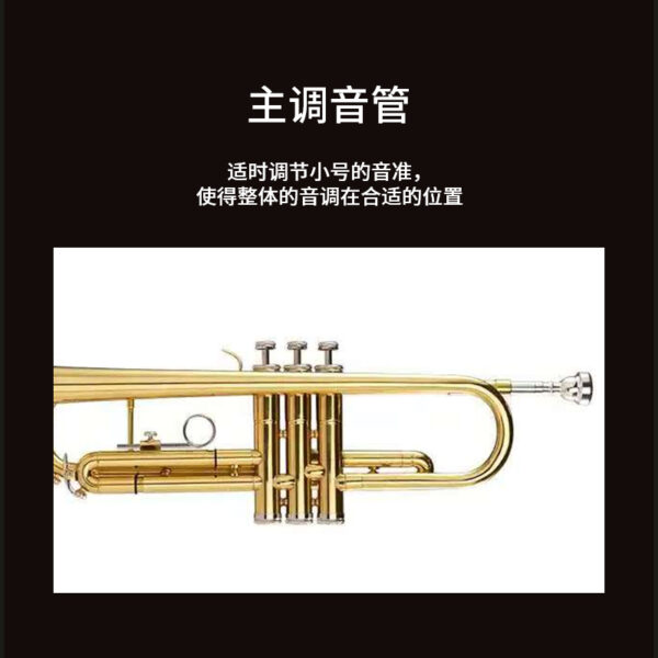 小号 - 图片 4