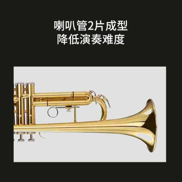 小号 - 图片 5