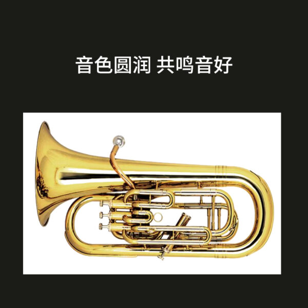 次中音 - 图片 5